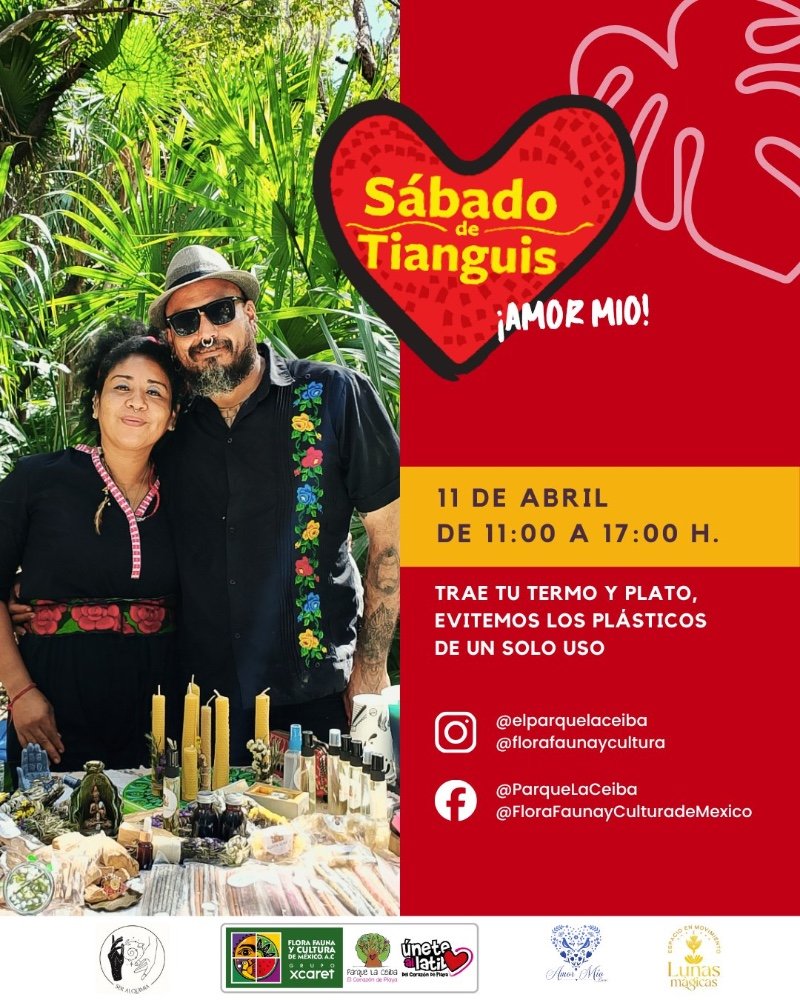 Sabado de Tianguis I