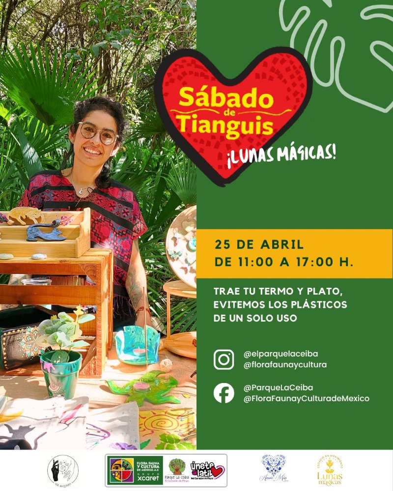 Sábado de tianguis III