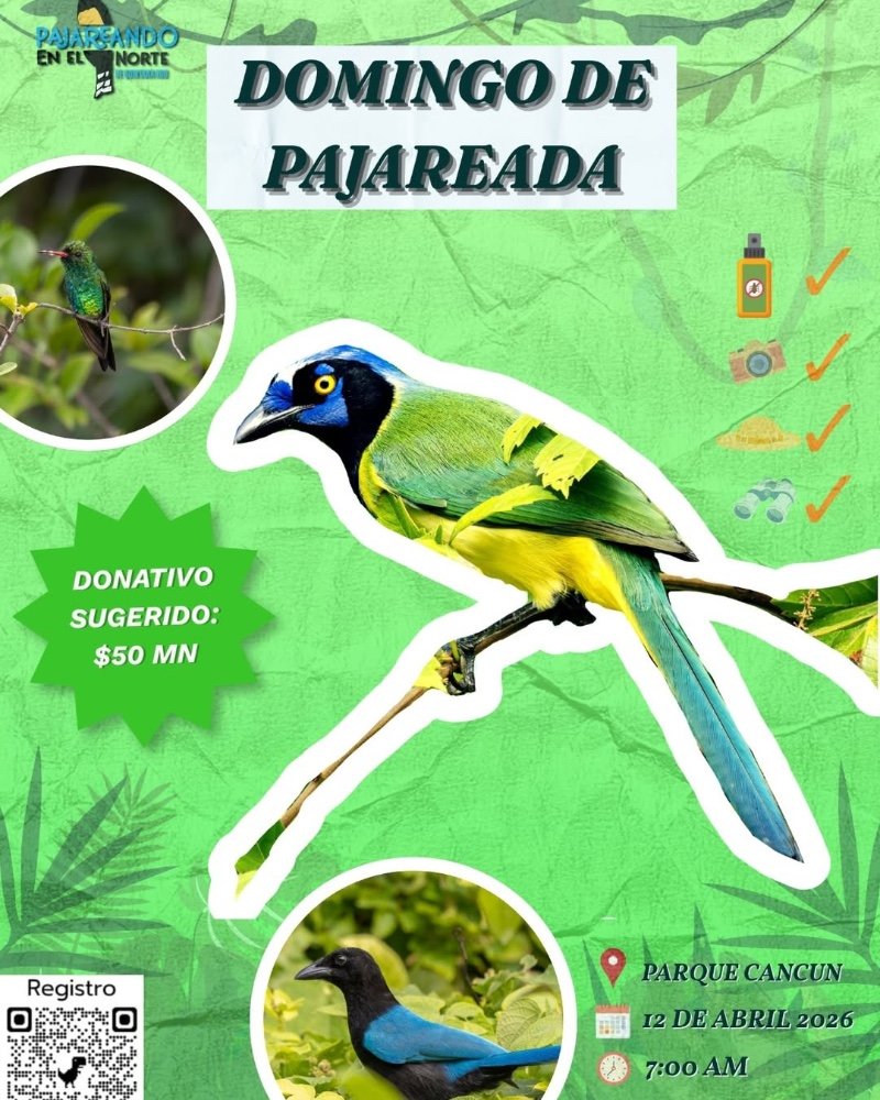 Domingo de Pajareada