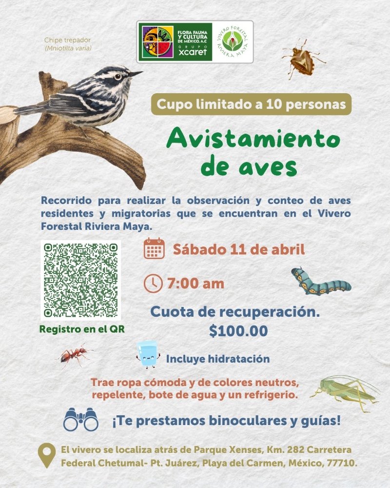Avistamiento de aves
