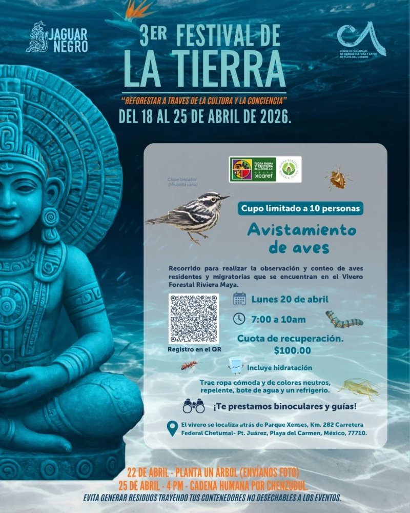 Avistamiento de aves