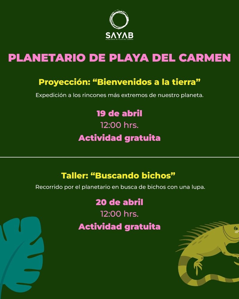Taller: buscando bichos