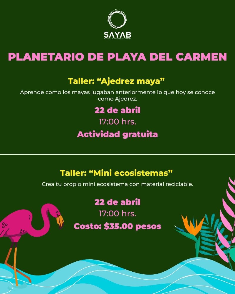Taller: "Ajedrez maya" y "Mini ecosistemas"