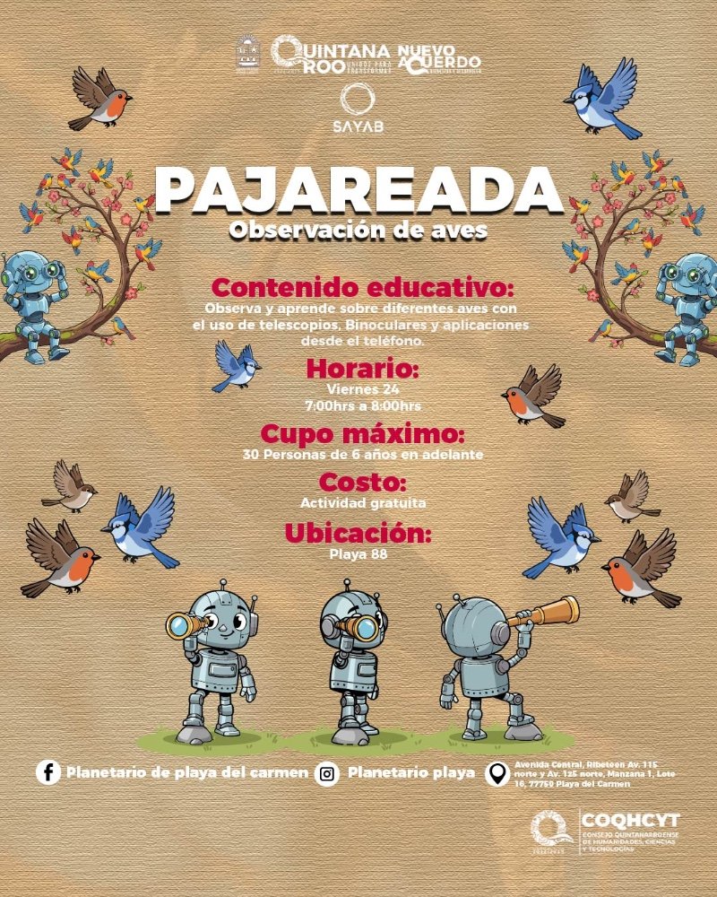 Pajareada Observación de aves