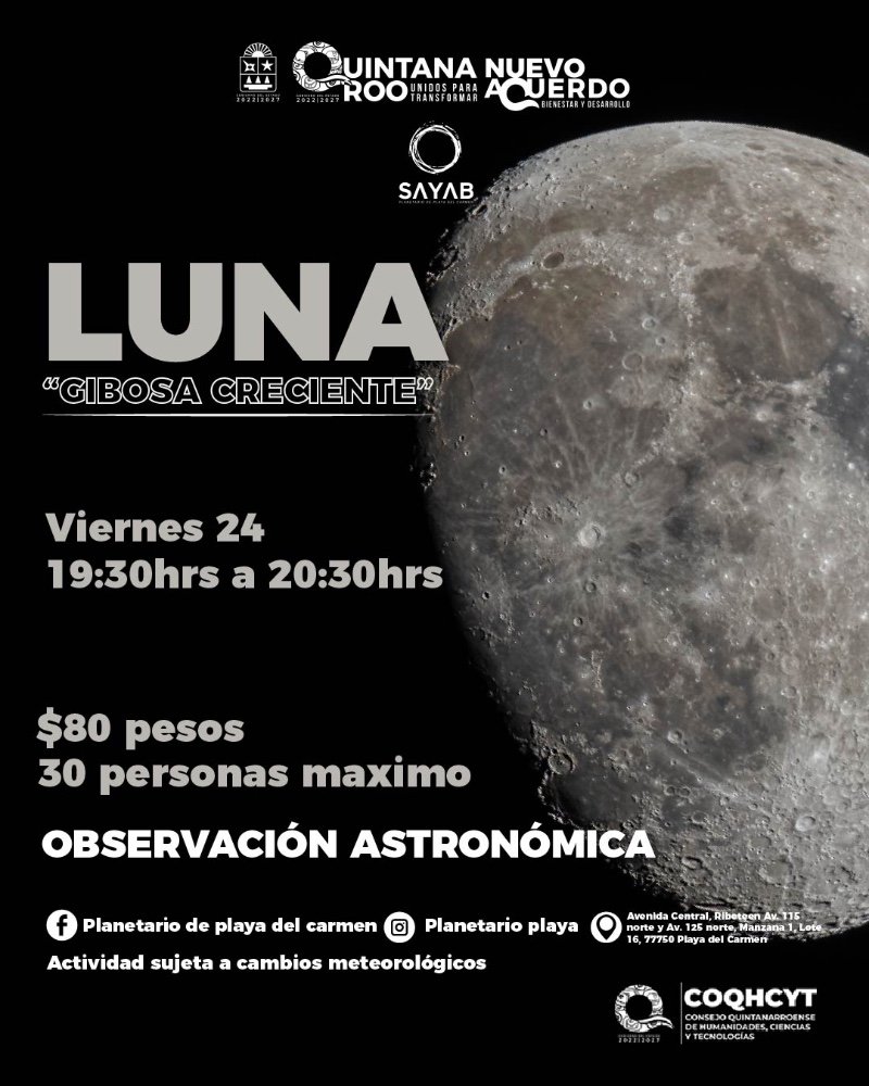 Luna "Cibosa creciente"
