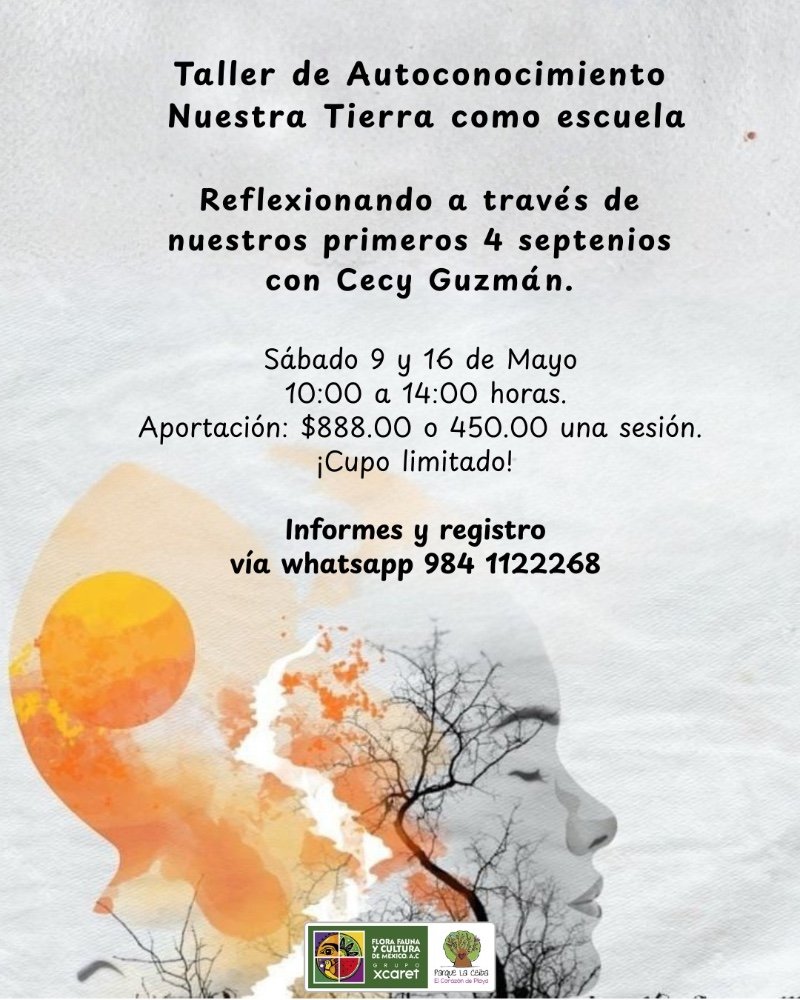 Taller de Autoconocimiento