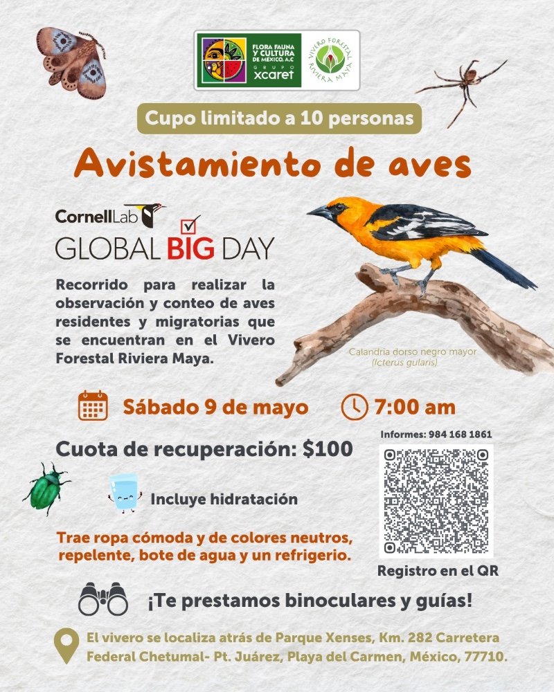 Avistamiento de aves