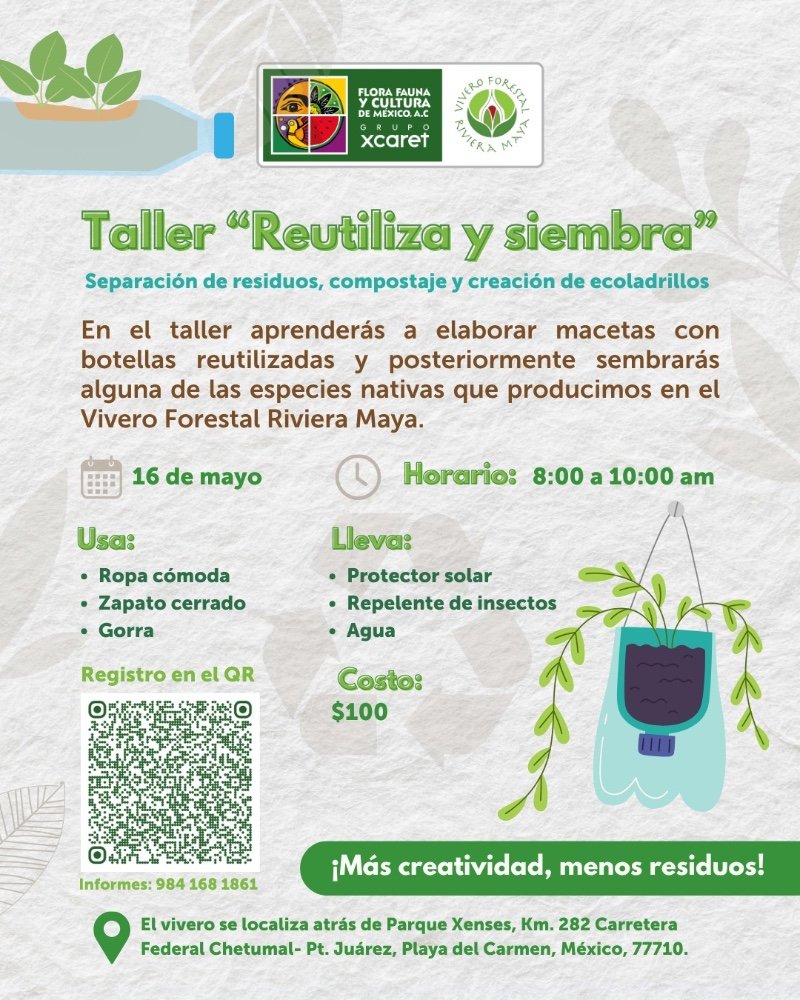 Taller "Reutiliza y siembra"