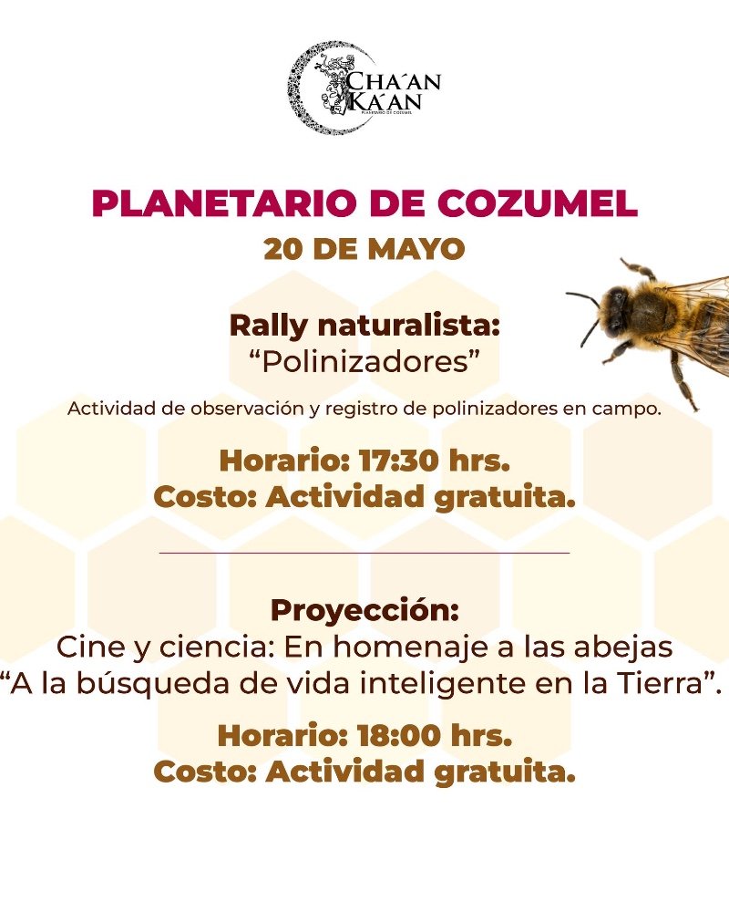 Rally "Polinizadores" y proyección