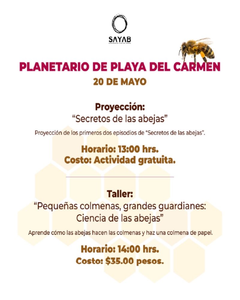Proyección y Taller - Día mundial de las abejas